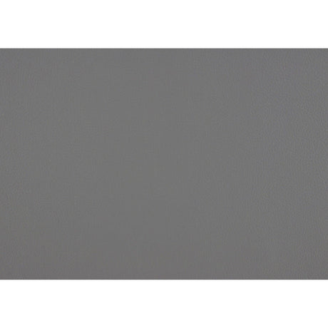 Anson Gray Queen Platform Bed - Ornate Home