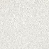 Anzio White Side Chair (Set of 2) - Ornate Home