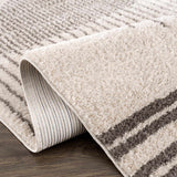 Apichu Charcoal Washable Area Rug - Ornate Home