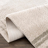 Apichu Gray Washable Area Rug - Ornate Home