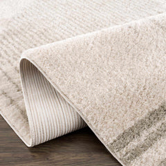 Apichu Gray Washable Area Rug - Ornate Home