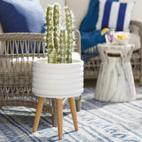 Apitong Decorative Accent - Clearance - Ornate Home