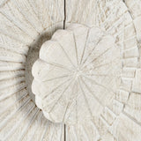 Apollo Coastal White Cabinet - Ornate Home