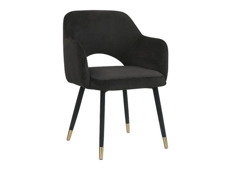 Applewood Black Velvet & Gold Accent Chair - Ornate Home