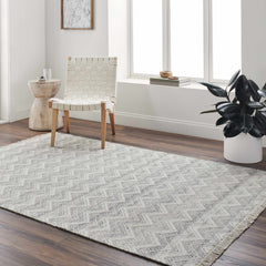 Aqeel Area Rug - Clearance - Ornate Home