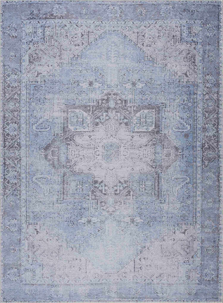 Aqua Rosman Washable Area Rug - Clearance - Ornate Home