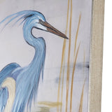 Aqua Stance Green/Blue Canvas