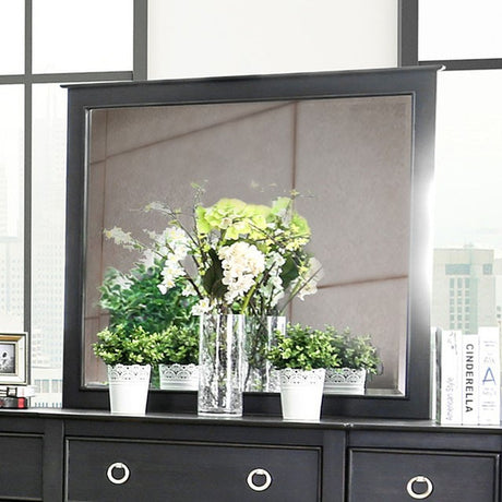 Arabelle Wire-Brushed Black Mirror - Ornate Home