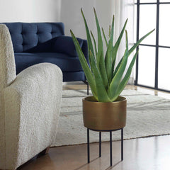 Arabia Brass/Green Aloe Planter - Ornate Home
