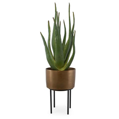 Arabia Brass/Green Aloe Planter - Ornate Home
