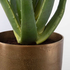 Arabia Brass/Green Aloe Planter - Ornate Home