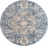 Aramayuan Area Rug - Clearance - Ornate Home