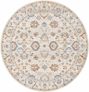 Araya Area Rug - Clearance - Ornate Home