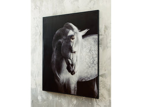 Archerwick Black/White Wall Art (Online Special Price) - Ornate Home