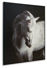 Archerwick Black/White Wall Art (Online Special Price) - Ornate Home