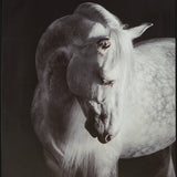 Archerwick Black/White Wall Art (Online Special Price) - Ornate Home