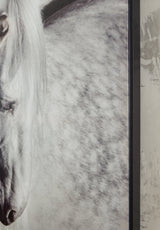 Archerwick Black/White Wall Art - Ornate Home