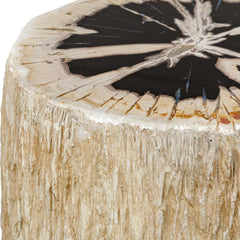 Arco Black/White Petrified Wood Top Accent Table - Ornate Home