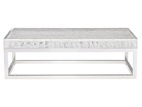 Arctic Ice Acrylic/Polished Stainless Steel Cocktail Table - Ornate Home
