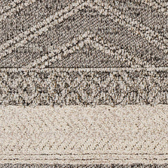 Areli Beige / Brown Outdoor Rug - Clearance - Ornate Home