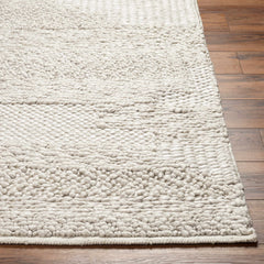 Arezo Area Rug - Clearance - Ornate Home