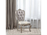 Ariadne Plantinum Side Chair (Set of 2) - Ornate Home