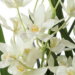 Ariana Orchid White Planter - Ornate Home