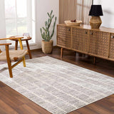 Aricin Gray Area Rug - Ornate Home