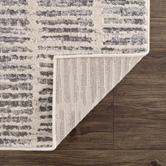 Aricin Gray Area Rug - Ornate Home