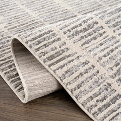 Aricin Gray Area Rug - Ornate Home
