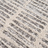 Aricin Gray Area Rug - Ornate Home