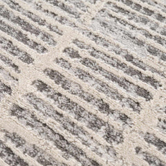 Aricin Gray Area Rug - Ornate Home