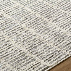 Aricin Gray Area Rug - Ornate Home