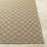 Arifah Prairie Dust Outdoor Area Rug - Ornate Home