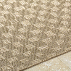 Arifah Prairie Dust Outdoor Area Rug - Ornate Home