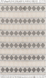 Arij Area Rug - Clearance - Ornate Home
