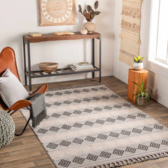 Arij Area Rug - Clearance - Ornate Home
