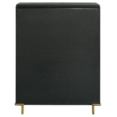 Arini Black Chest - Ornate Home