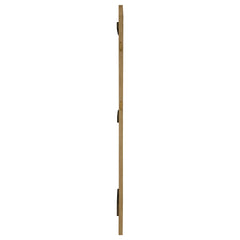 Arini Sand Wash Floor Mirror - Ornate Home