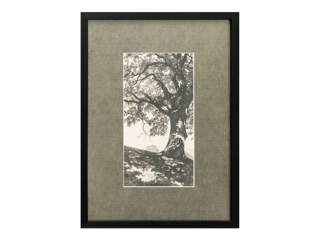 Arise Multi Color Framed Print - Ornate Home