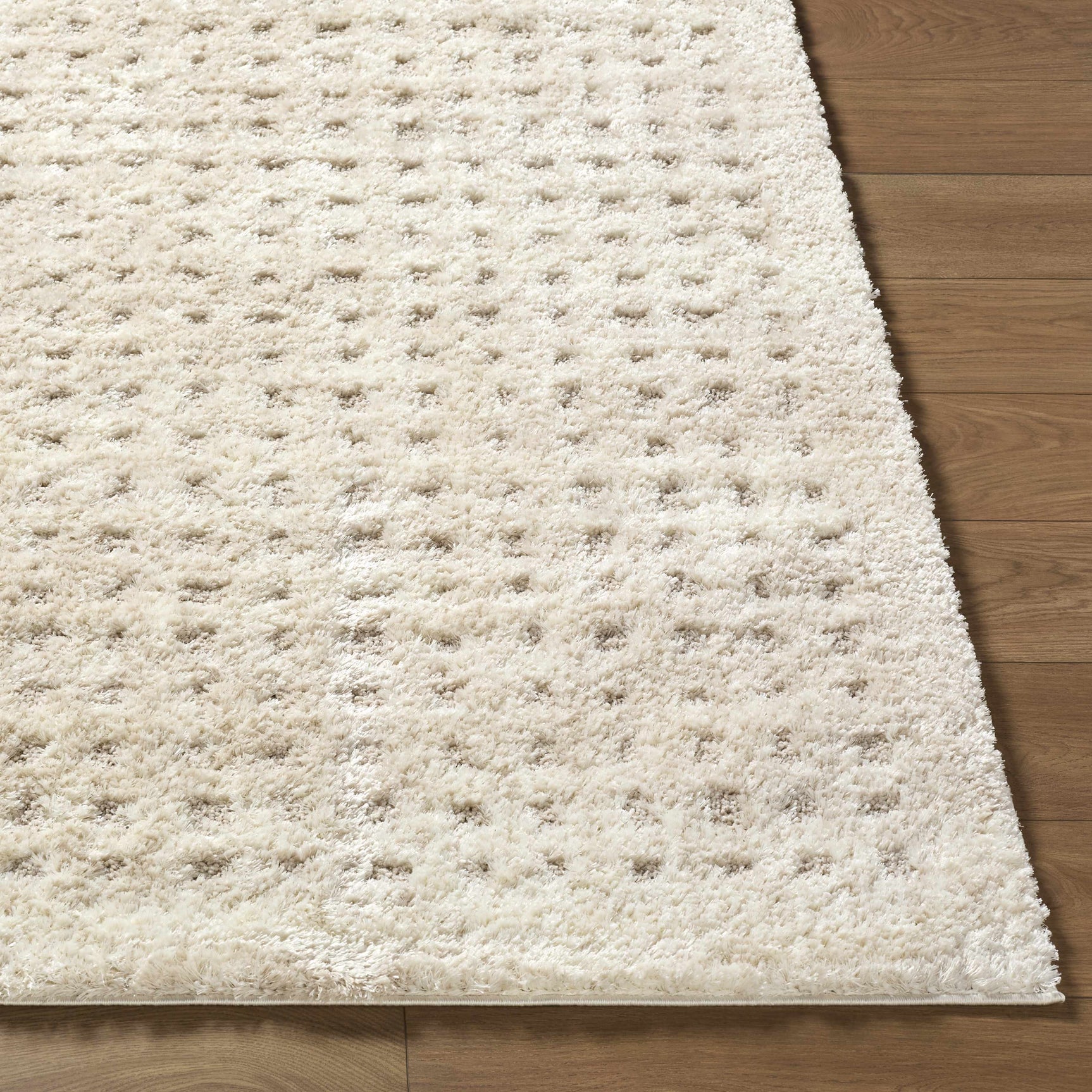 Armand Luxe Shag Rug - Ornate Home