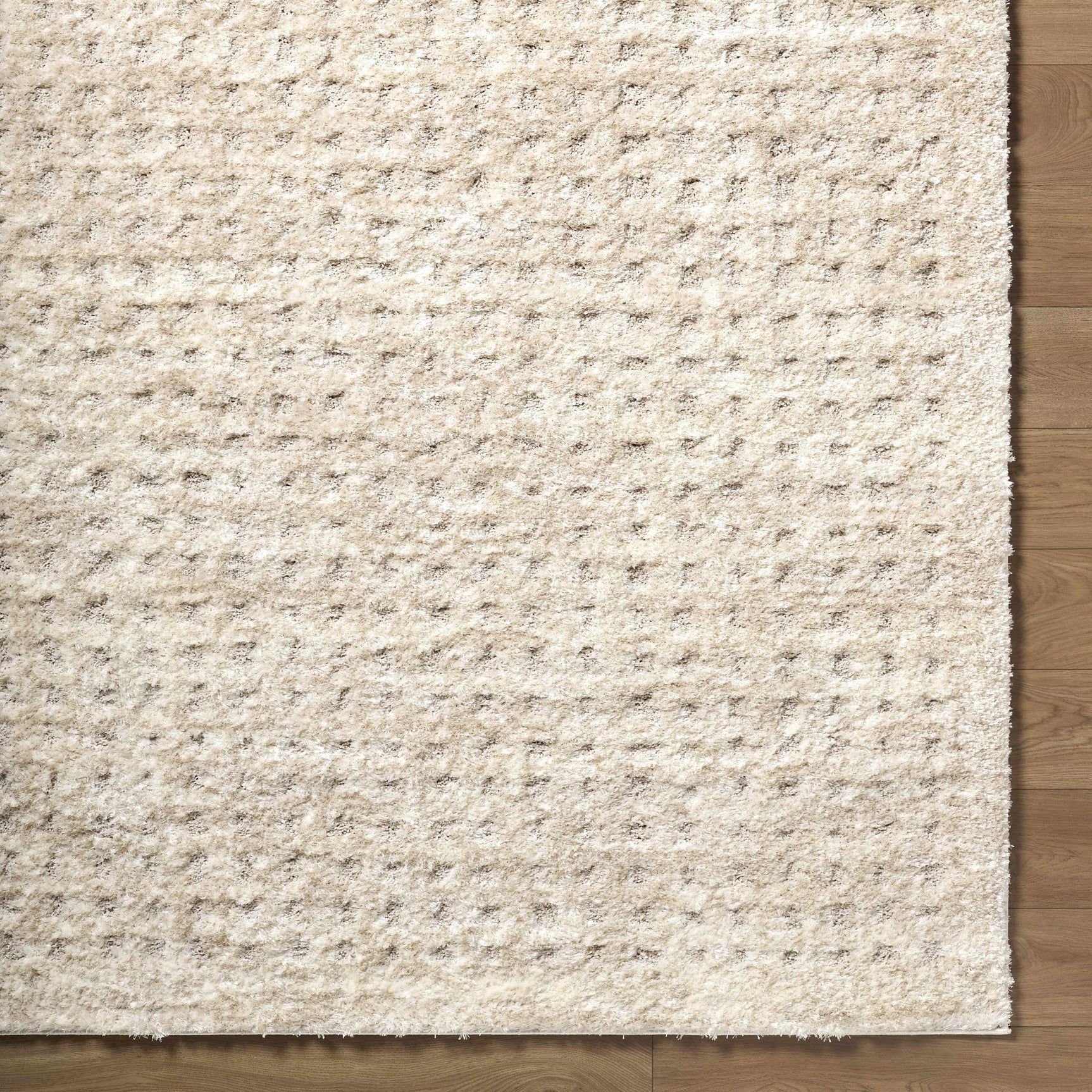 Armand Luxe Shag Rug - Ornate Home