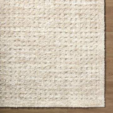 Armand Luxe Shag Rug - Ornate Home