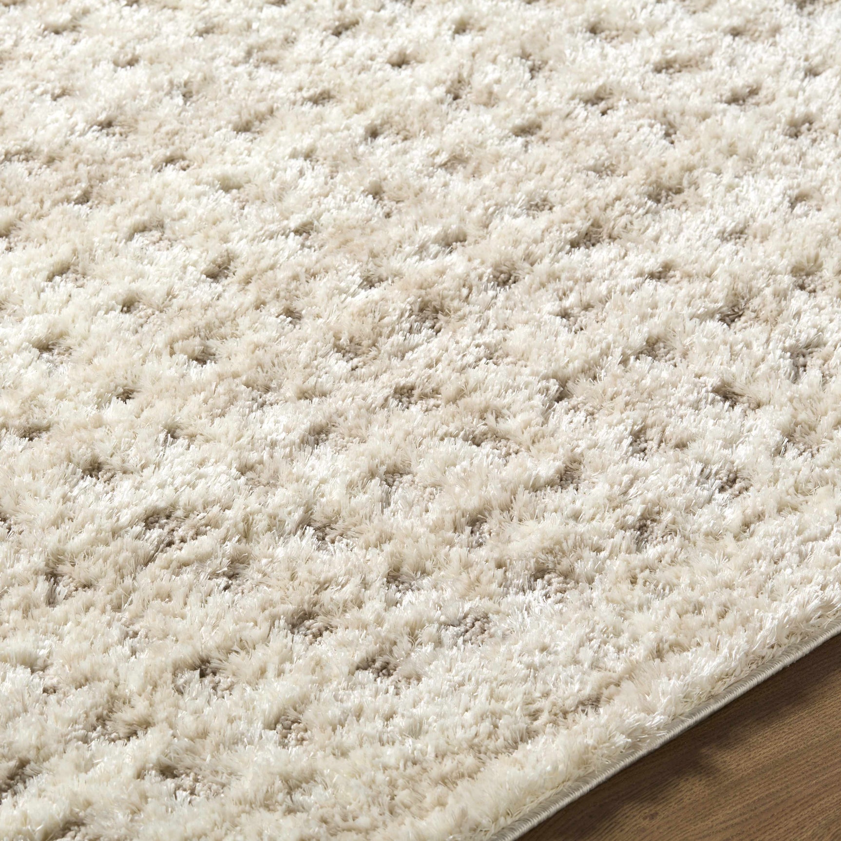 Armand Luxe Shag Rug - Ornate Home