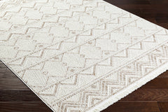 Armen Area Rug - Clearance - Ornate Home