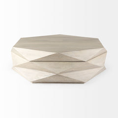 Arreto Natural 48" Solid Wood Hexagonal Storage Coffee Table - Ornate Home