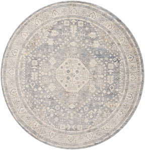 Artan Area Rug - Clearance - Ornate Home