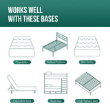 Artemisia 6" Memory Foam Mattress - Ornate Home