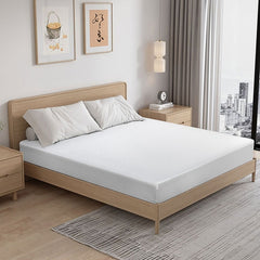 Artemisia White 6" Queen Memory Foam Mattress - Ornate Home