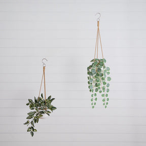 Artificial Wandering Jew & String of Hearts Hanging Plant - Set of 2 - Ornate Home